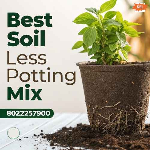 Best Soil Less Potting Mix for Commercial & Home Growers