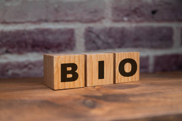 Irene Ferri The Talented Italian Actress and Her Journey in Entertainment