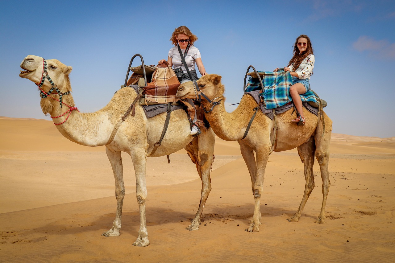 Why Choosing a Camel Safari Tour Makes Your Desert Trip Memorable 2026?