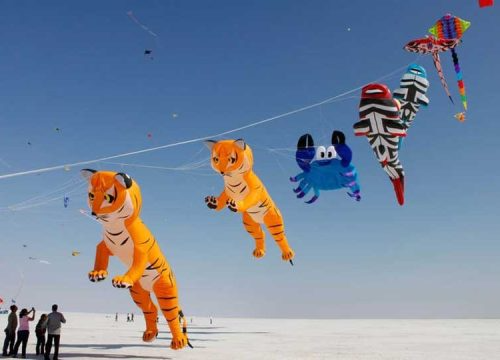 rann utsav tour package